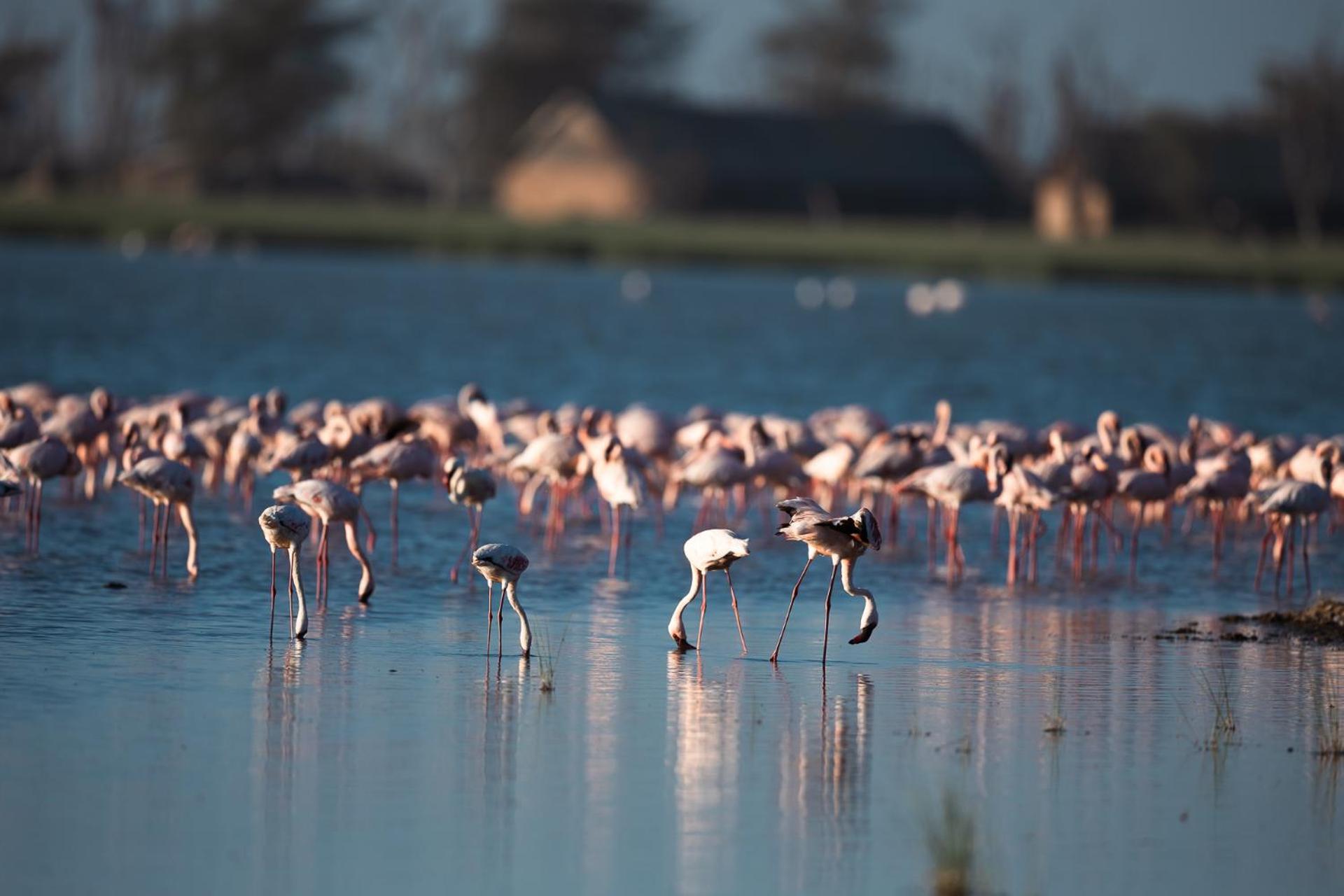 Amboseli Glass House Oloitokitok Екстериор снимка