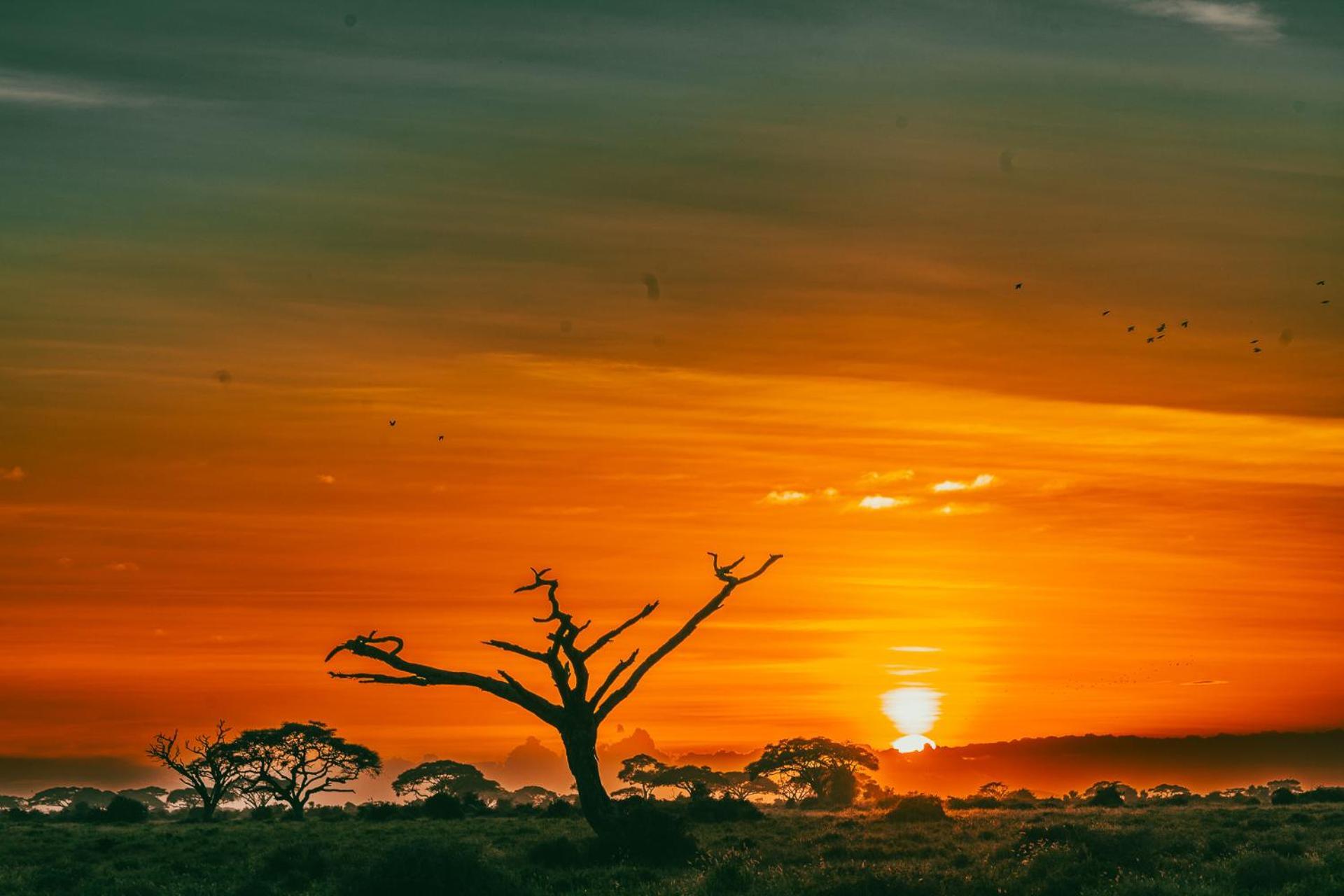 Amboseli Glass House Oloitokitok Екстериор снимка