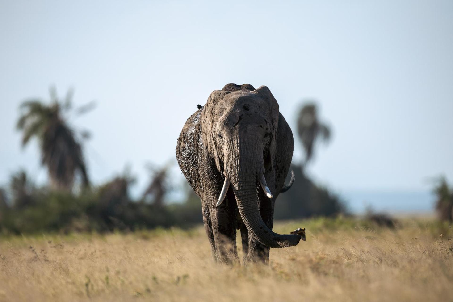 Amboseli Glass House Oloitokitok Екстериор снимка