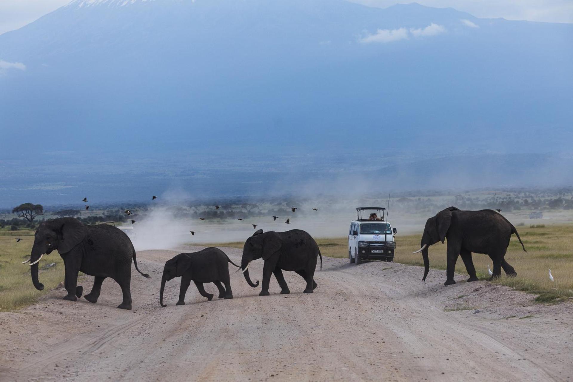 Amboseli Glass House Oloitokitok Екстериор снимка
