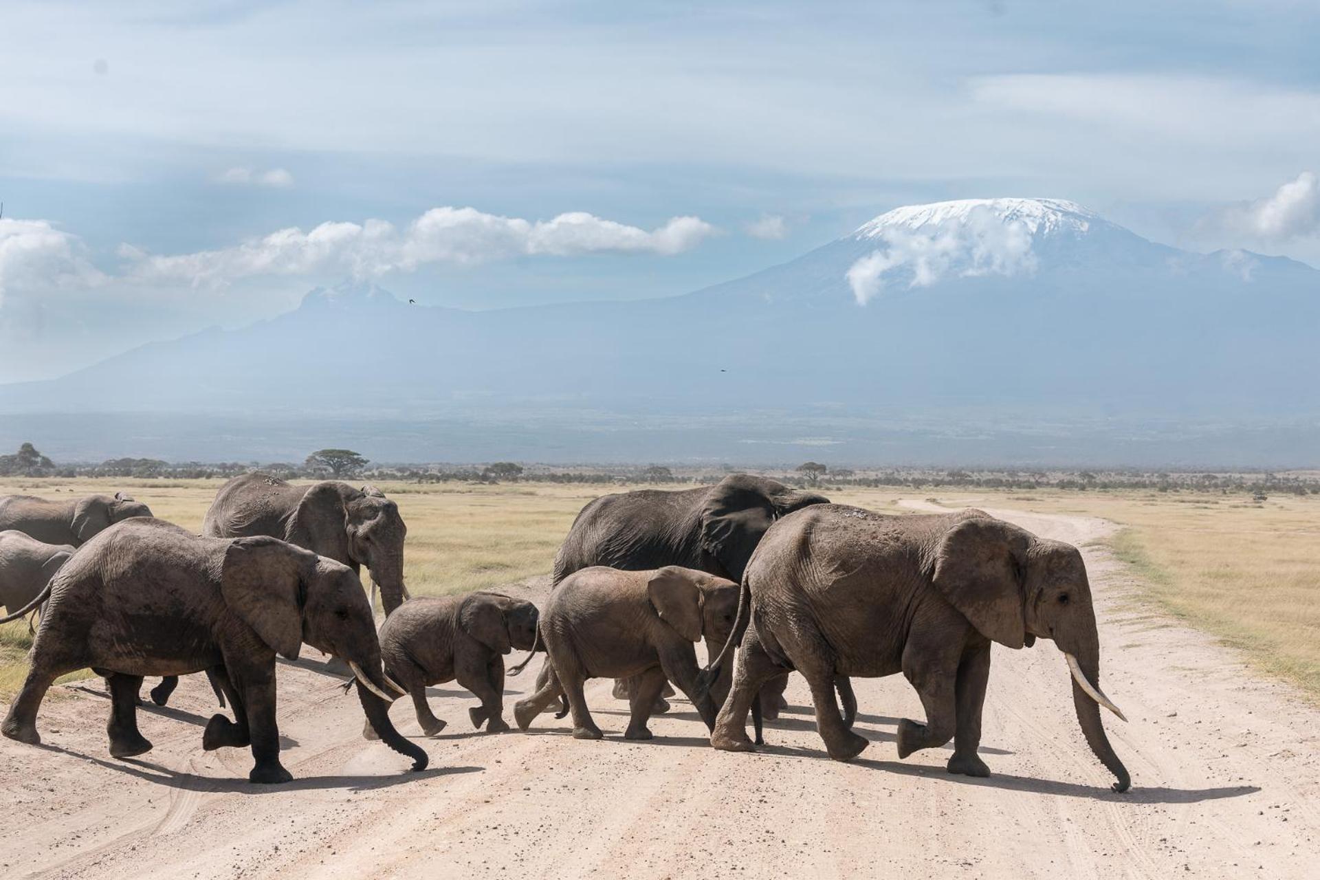 Amboseli Glass House Oloitokitok Екстериор снимка